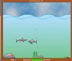 Play Shark Attack